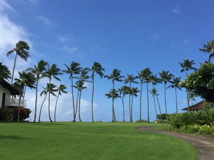Kiahuna Plantation Poipu Beach Kauai ReginaMaeWrites